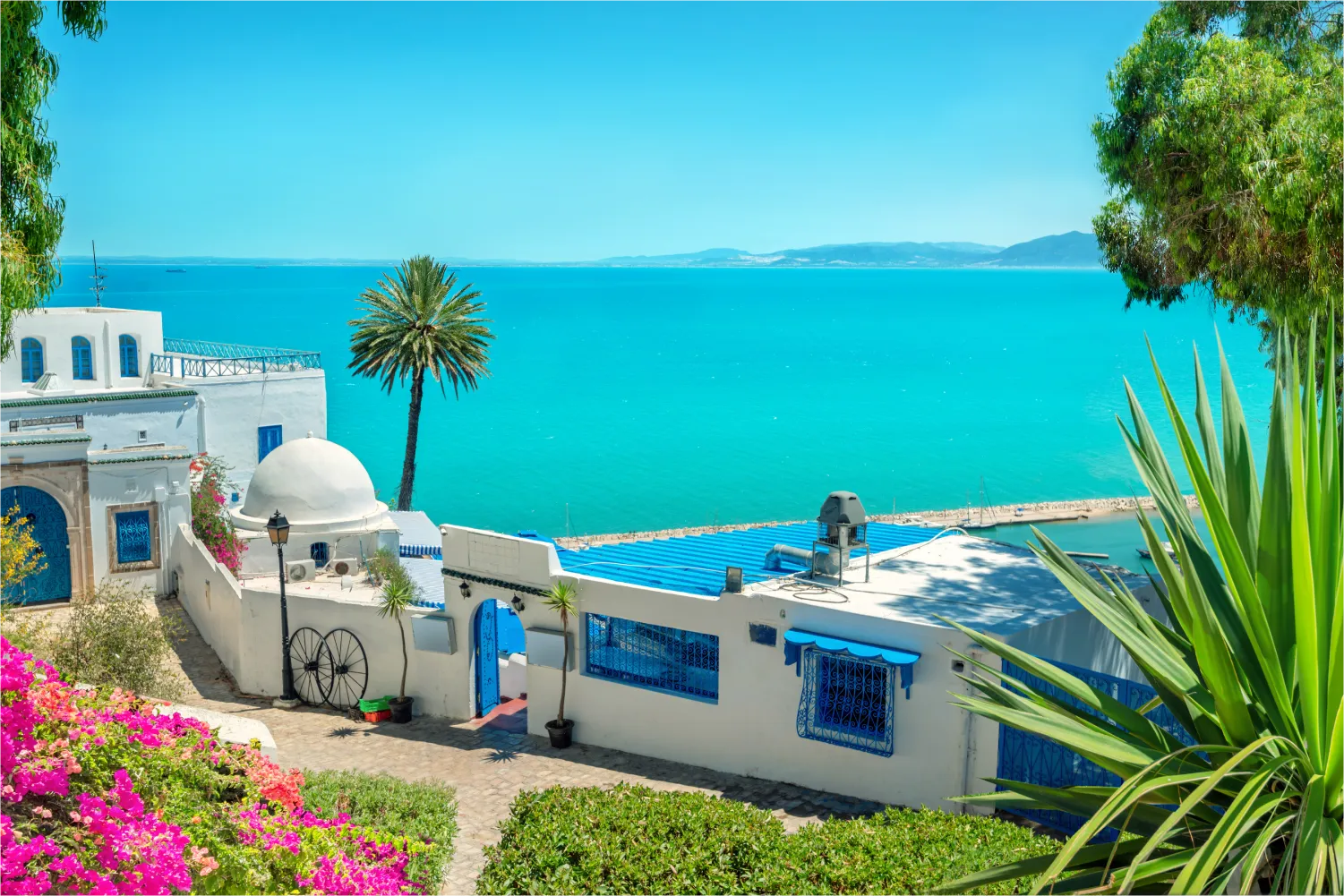 Panoramalandschaft mit typischen weiß-blauen Häusern, bunten Blumen und schöner Aussicht auf das Meer in Tunis