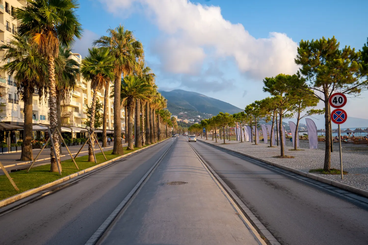 Road View umgeben von Pinien in Vlora