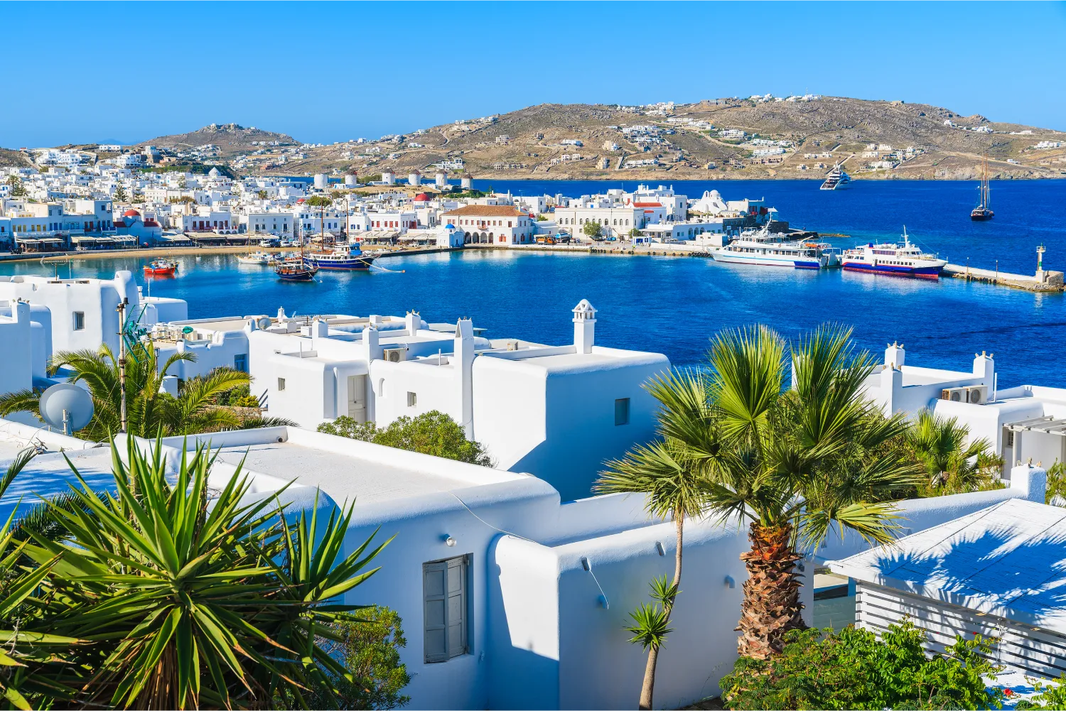 Blick auf den Hafen und die Stadt Mykonos