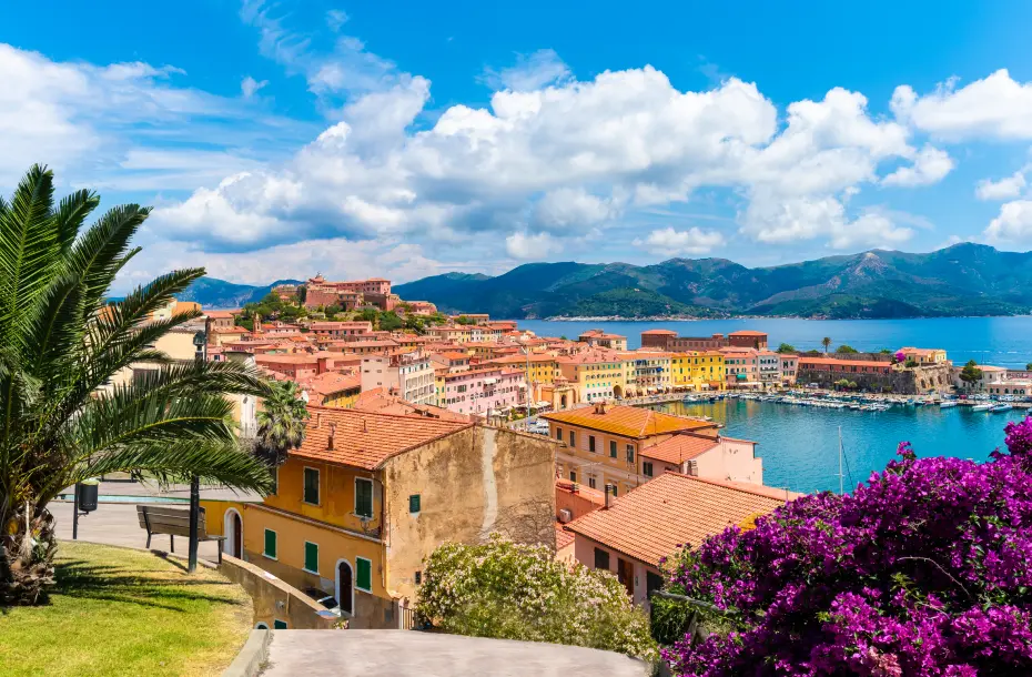 Blühende Bäume und im Hintergrund bunte Häuser und der kleine Hafen von Portoferraio