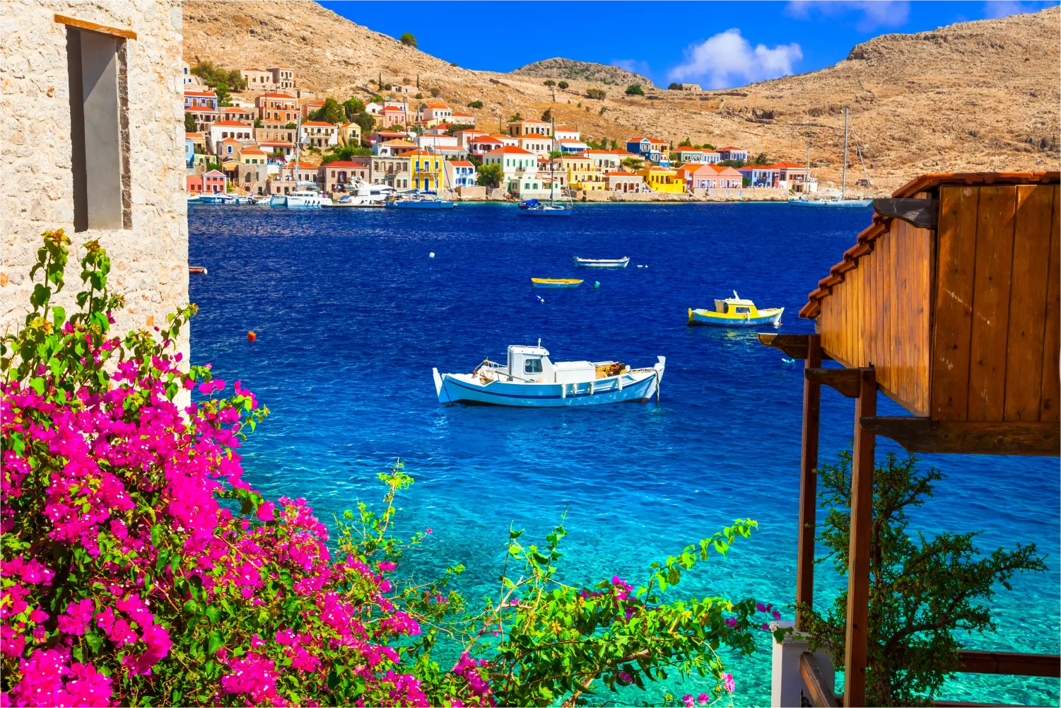 Eine Bougainvillea neben dem Hafen von Chalki mit seinen Fischerbooten